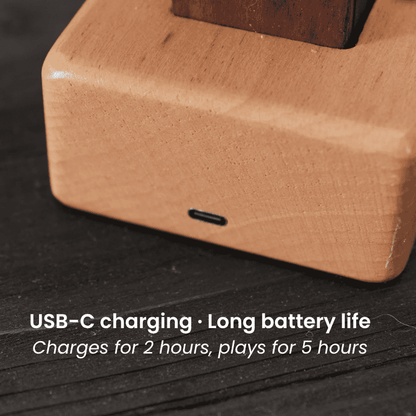 Wooden Manta Ray Kinetic Sculpture